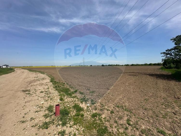 Teren 545,000mp Dragomiresti-Vale