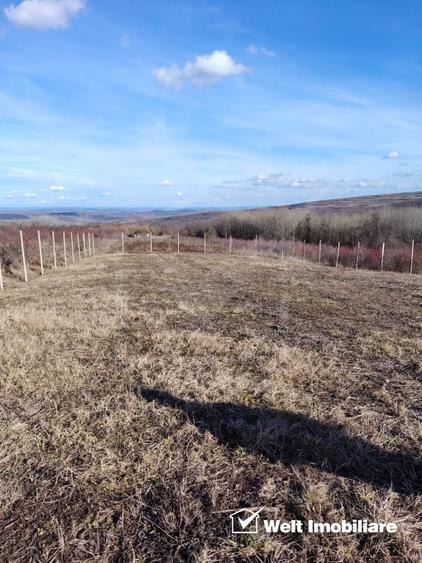Teren intravilan, cu potential mare