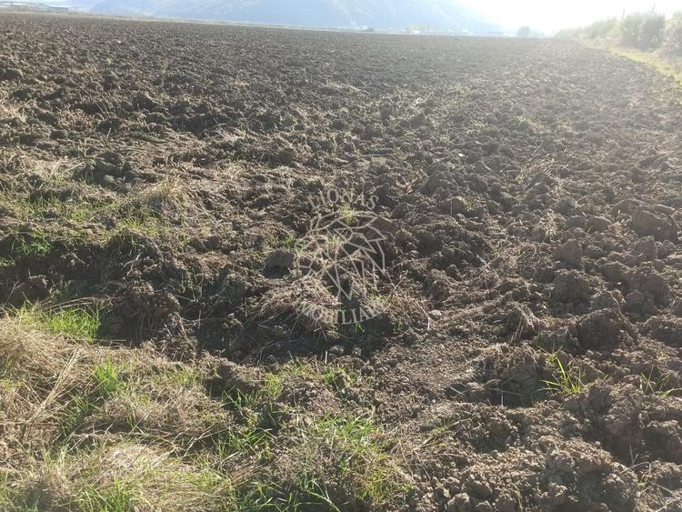 Teren 7500 mp-ideal agricultura, invetitie-Sarata