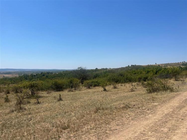 RECO Teren extravilan Holod 27400 mp