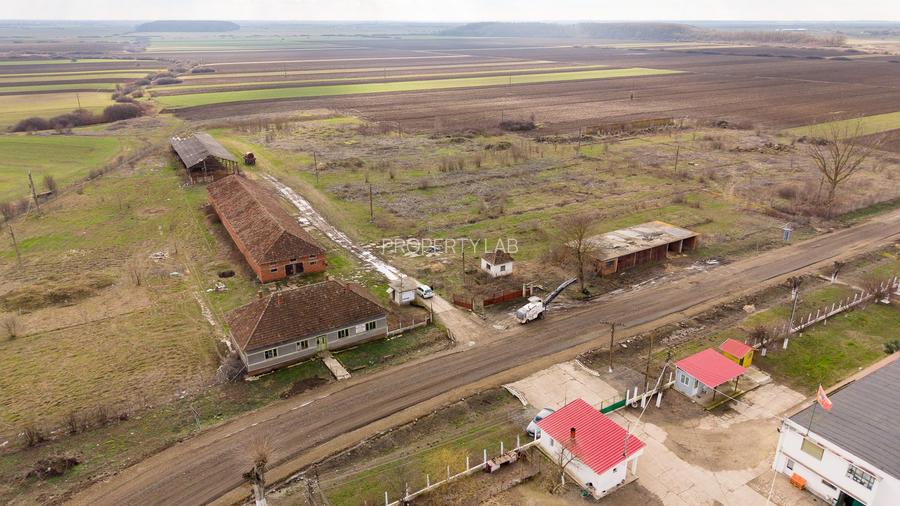 Fermă cu teren intravilan de 35000 mp în Mișca - 26