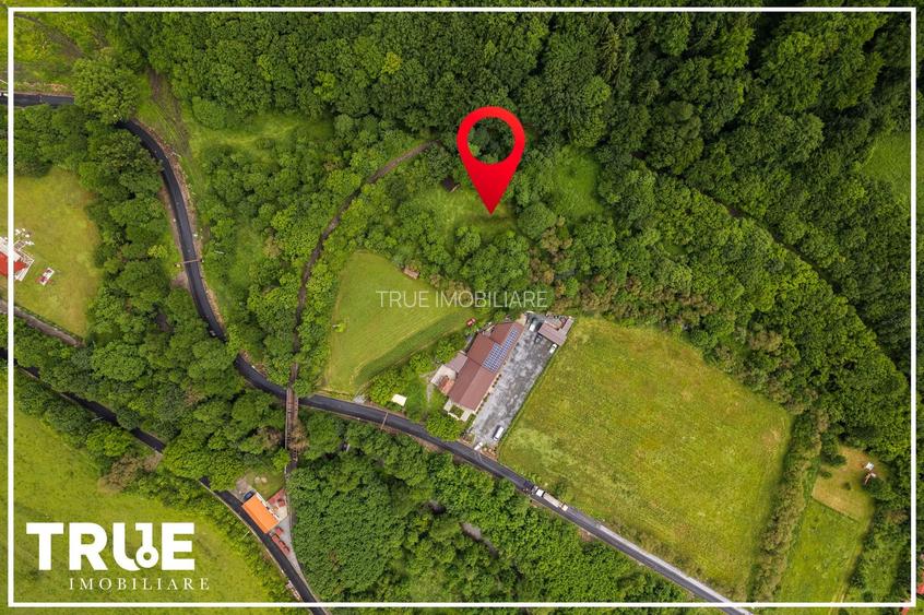 Teren intravilan 2.800 m² în Câmpu Cetății – liniște și natură - 4