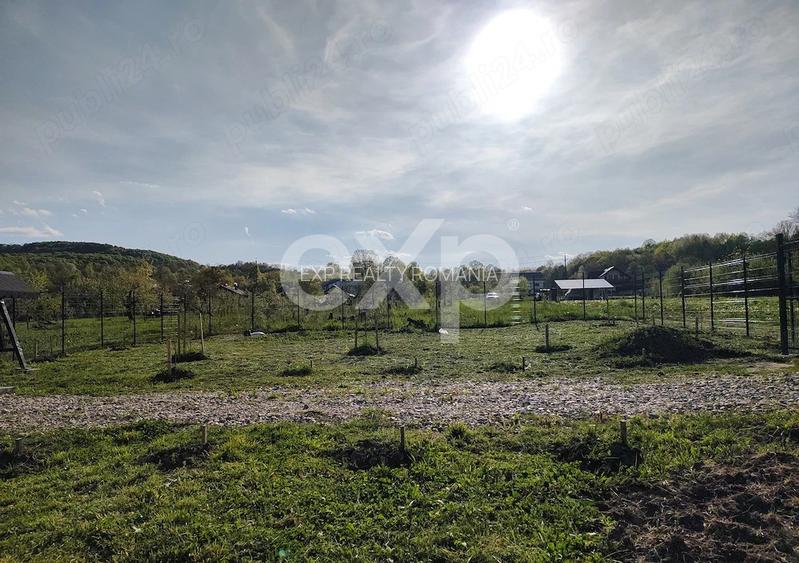 Teren intravilan de vânzare – Valea lui Enache, Baiculești, Argeș | 500 mp - 4
