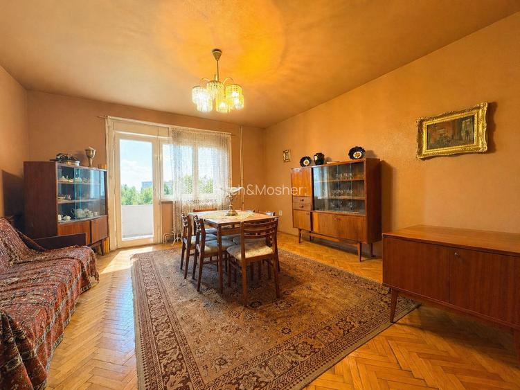 4 camere, suprafata generoasa, vedere panoramica spre raul Timis - 7