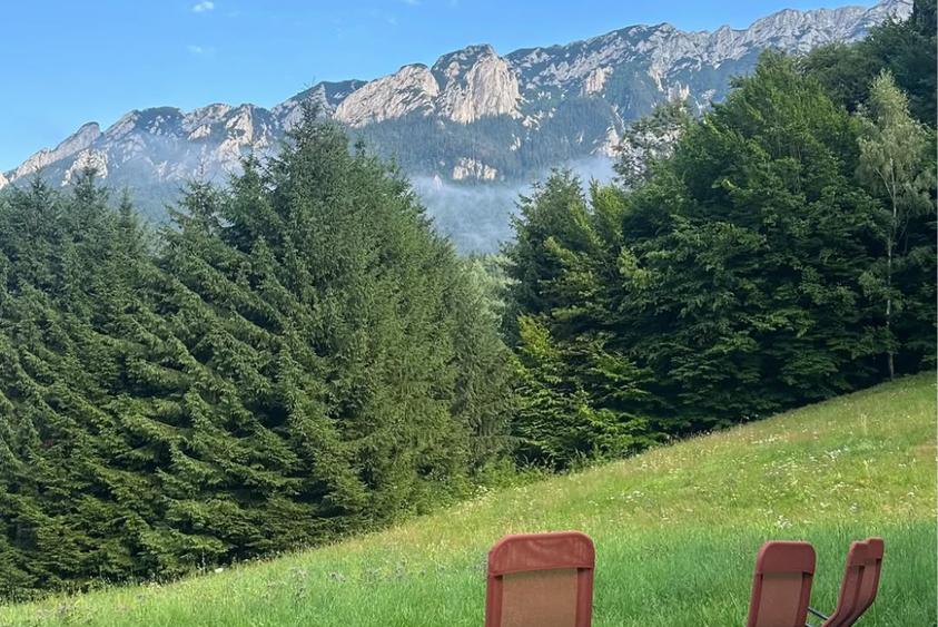 Vila de lux Brasov-Zarnesti-Piatra Craiului-Plaiul Foii, 2 HA, Gym sauna jacuzzi