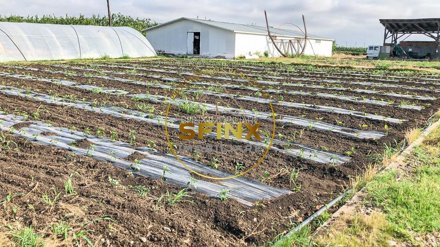 De vanzare ferma Calarasi in stare de conservare - sere - livada - 25