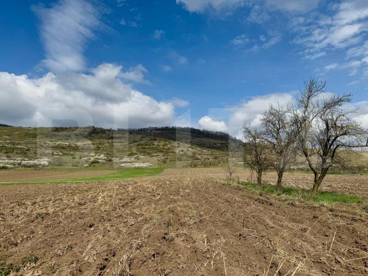 Teren intravilan de vanzare, 1500 mp, zona Șoimuș