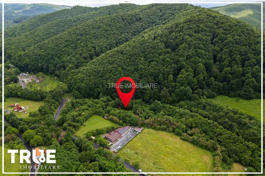 Teren intravilan 2.800 m² în Câmpu Cetății – liniște și natură - 10