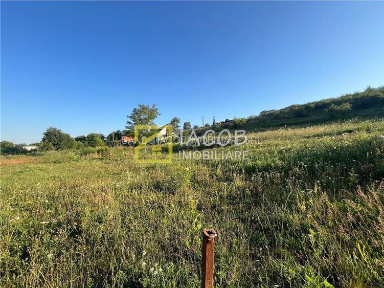 Teren Magura str. Intre Vii Islazului 550 mp - 5