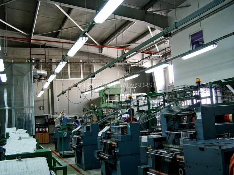 Str. Zizinului (Sacele) - Complex Industrial - 11