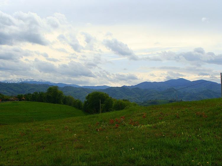 Teren Poiana Mărului Brașov,  PUZ, 11600mp, pe ruta via Transilvanica