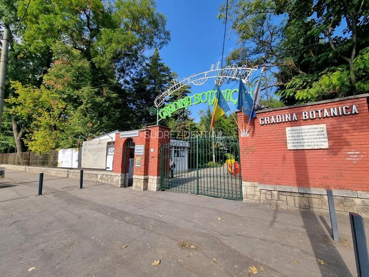 Vila individuala in zona Cotroceni-Parc Izvor, Sector 5 - 11