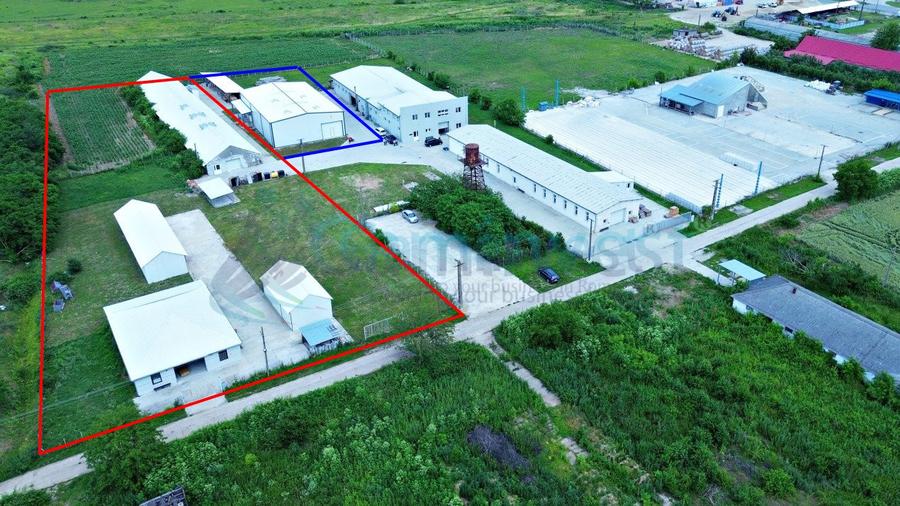 Hala de vanzare cu exclusivitate, la 24 km de Oradea, in Salard, Bihor