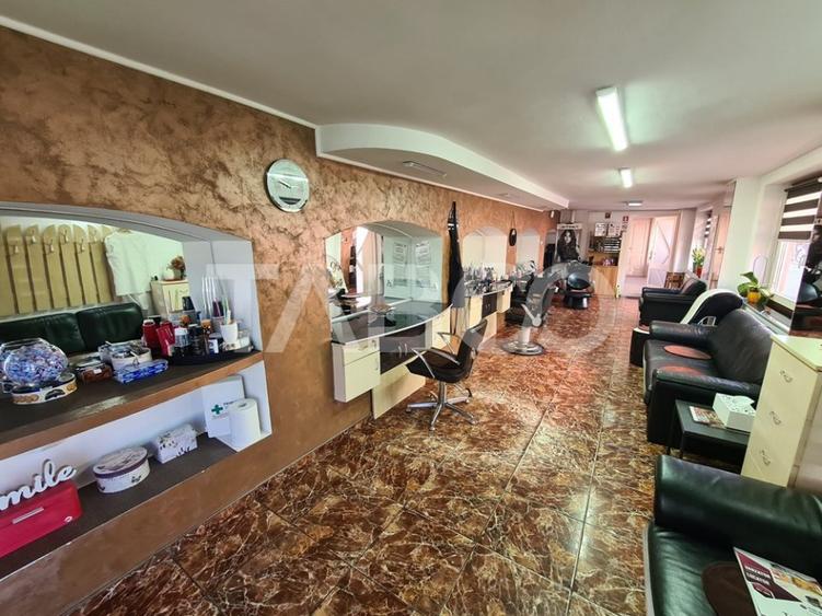 Casa cu spatiu comercial de vanzare in Sebes zona centrala
