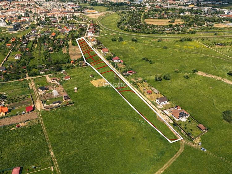 Pachet de 16 loturi individuale, în suprafață totală de 10.000 m² - 3