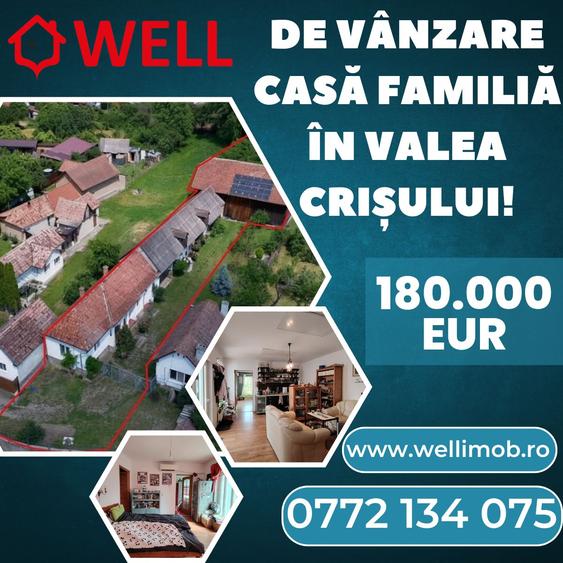 De vânzare casă familială în Valea Crișului!