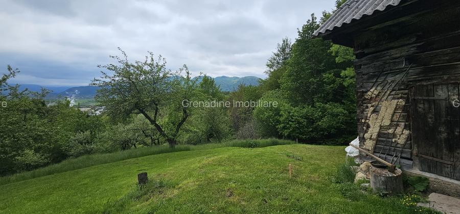 Domeniu Premium 1.7 Ha Intravilan Zărnești | Lizieră Pădure | Ideal Resort - 2