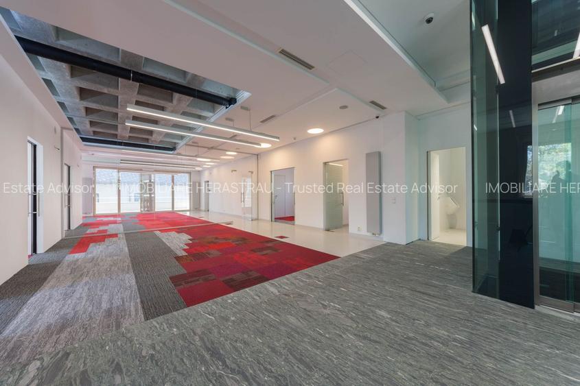 Vila Capo | Luxury offices 1800 mp | Dorobanti Capitale - 8