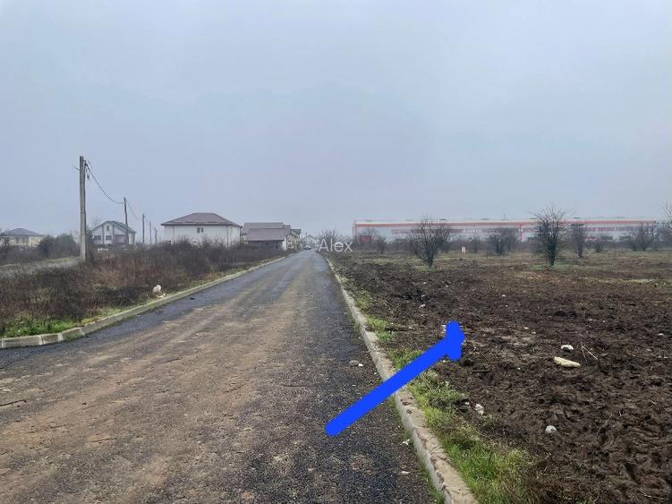 de vinzare teren 5700 mp Clinceni - 10