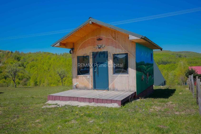 Case A frame cu teren 30200 mp, de vânzare, Bulz, Munteni, Prelucele - 35