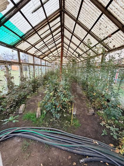 Casă de vânzare – proprietate generoasă 2.285 m2 teren, 230.000 euro - 8