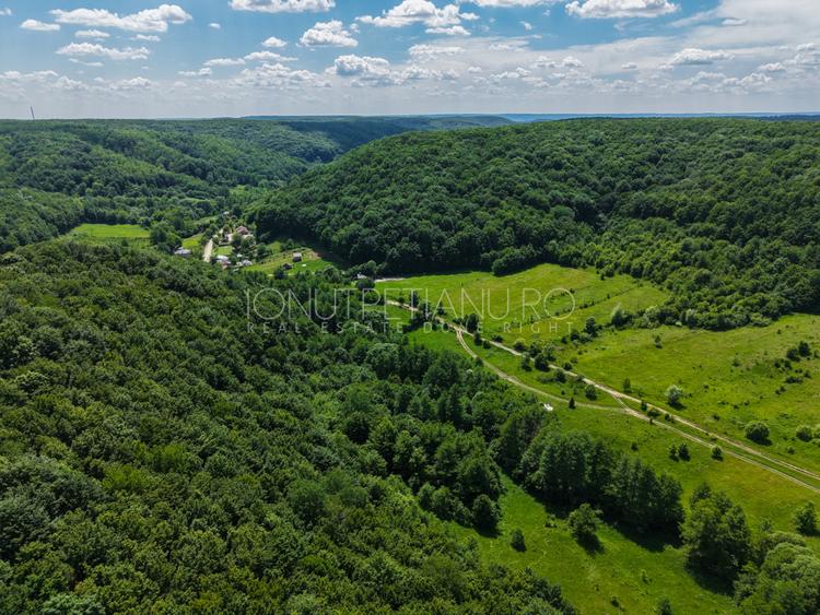 Teren Pasune + Arabil - Valea Mare Podgoria Arges