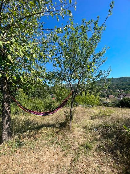 Teren constructii intravilan 3600mp Morilor - 7
