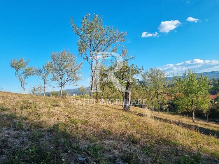 Casă renovata cu teren generos | Anexe | Gurasada | Hunedoara - 39