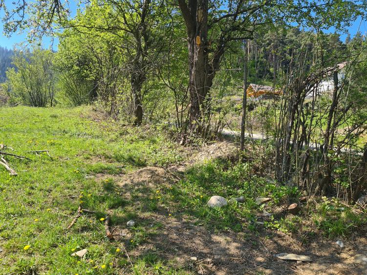 Teren deosebit - 1500 mp, Poiana Angelescu, Str. Livezii