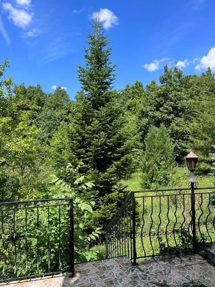 Duplex, Valenii de Munte, Drajna de Sus