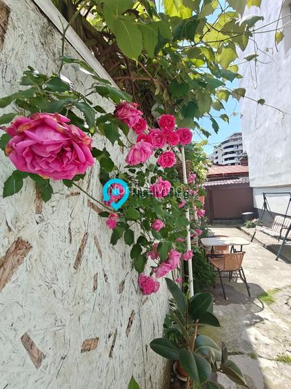 Proprietate rară în Popa Nan – 3 camere | Curte | Gradina - 29