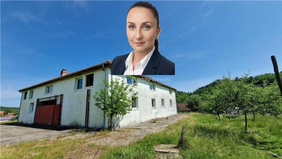 Farliug Casa sau Afacere 125 000 euro