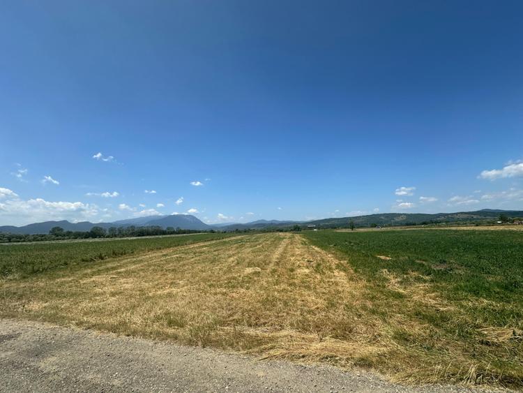 Teren 5000 mp Glajerie, zona Rasnov