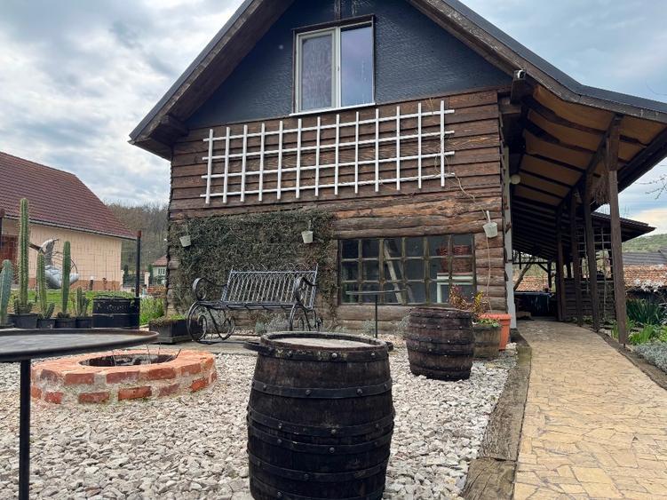 De vanzare 0,75ha cu doua case, gradina, livada etc Ideal camping, tabere, ferma