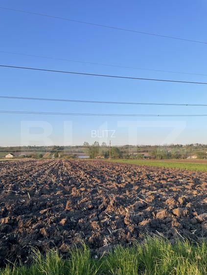 Teren Intravilan - 3600mp - Forăști, Fălticeni