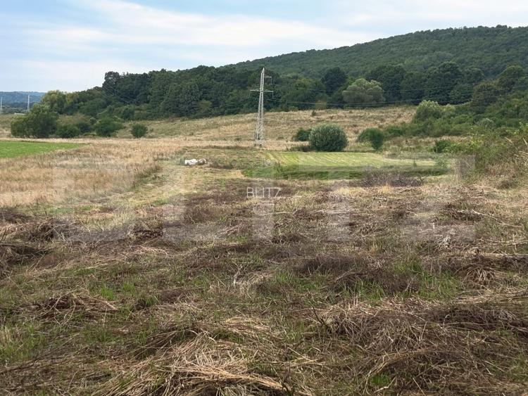 Teren 3.600 mp, ideal pentru livadă, cabană sau investiție în Podu Olt - 3