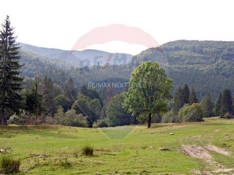 Teren 7 loturi de vanzare 65.313 mp, Valea Uzului, Darmanesti