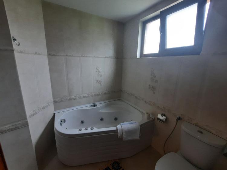 Casa de vanzare,340 mp,7 camere, Alexandru cel Bun Neamt (Bistrita), Cod 158919