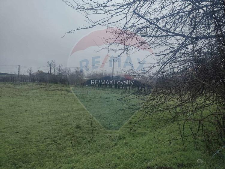 Teren intravilan 2.205 mp – dublă deschidere, utilități, parcelabil - 10