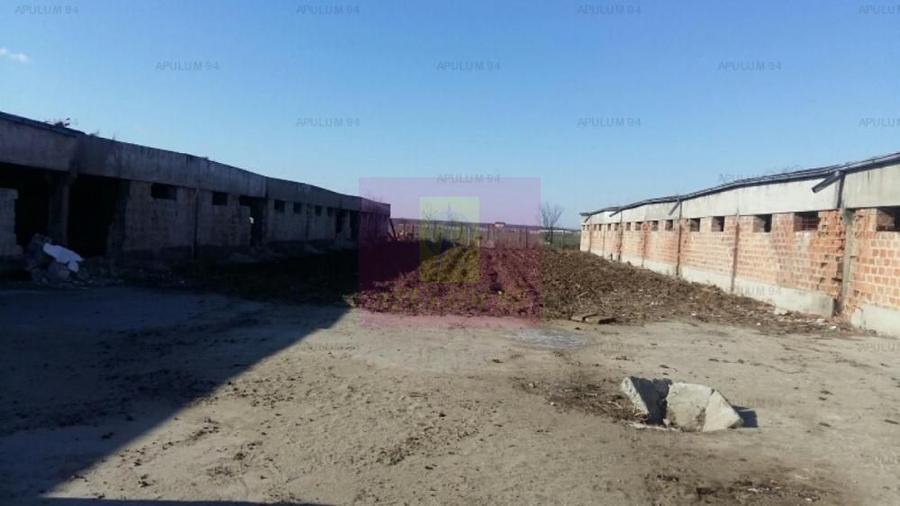 Teren Balotesti- Saftica- ideal pentru constructie locuinte.