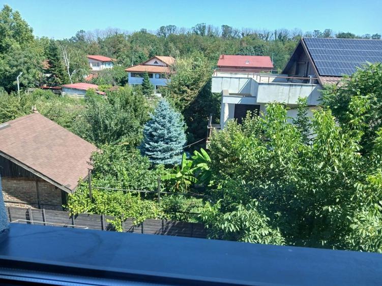 Se vede din camera Padurea Rosu la 200m,aici si STB,etj 2 din3,lift,mobilat 37mp