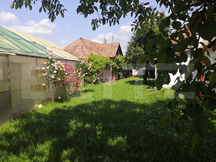Teren intravilan generos + 2 case – 15.277 mp, front 30 m, multiple posibilități - 8