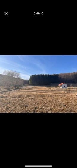 Teren intravilan 4521mp lângă pădure-valea Doftanei -Calea Brasovului