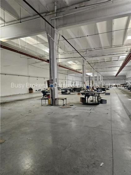 Spatiu Industrial - 3300 mp - Productie - Depozitare - Distributie - 6