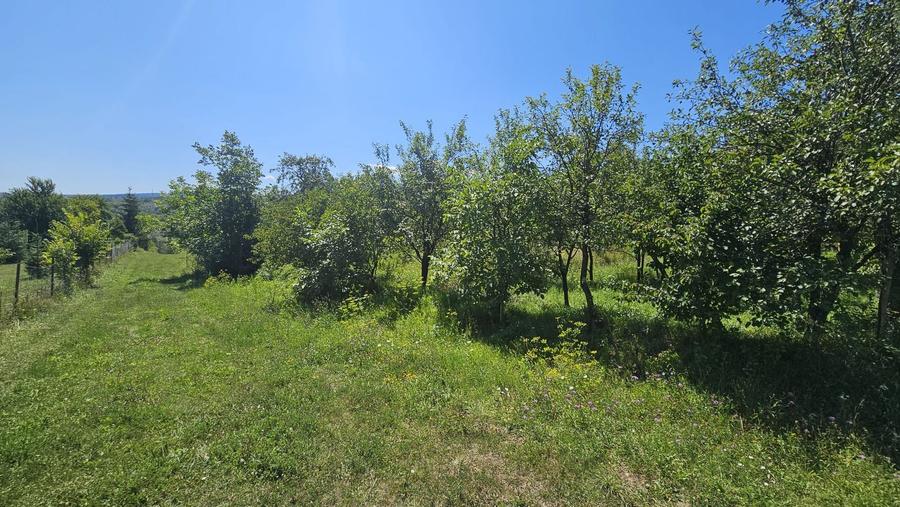 0 % comision, Lot format din 3 parcele, zona Antonio Gaudi-Borhanci