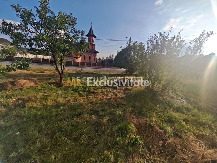Teren intravilan 1.600 mp Mioveni – Zona Pruni - 5