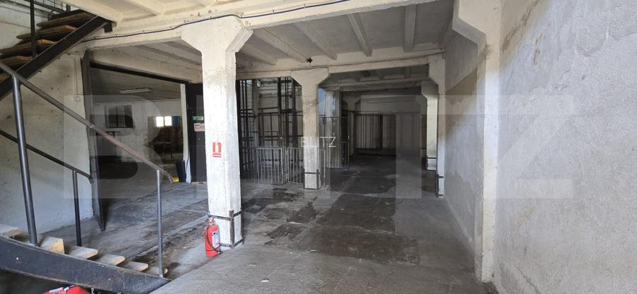 Hală producție/depozitare, de vanzare, 2600 mp, zona Bariera Vâlcii - 11