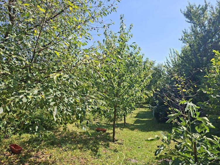 „Acasă, în adevăratul sens al cuvântului – casă cu livadă, liniște