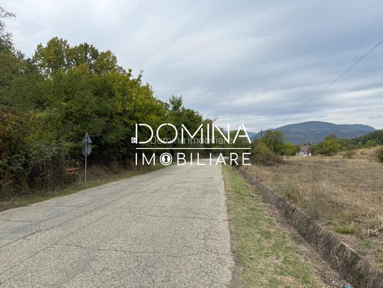 Vânzare teren 13.000 mp - Runcu-Suseni - oportunitate turistică - 3