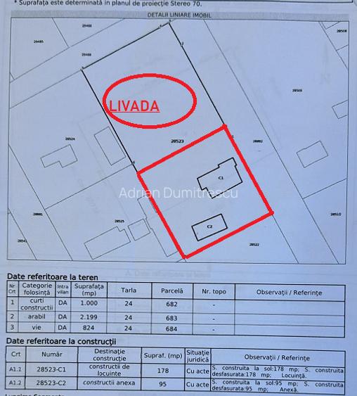 Casă 4 camere+teren 1.750 mp în Mitreni-Valea Roșie+casa secundara+veg. matura - 4